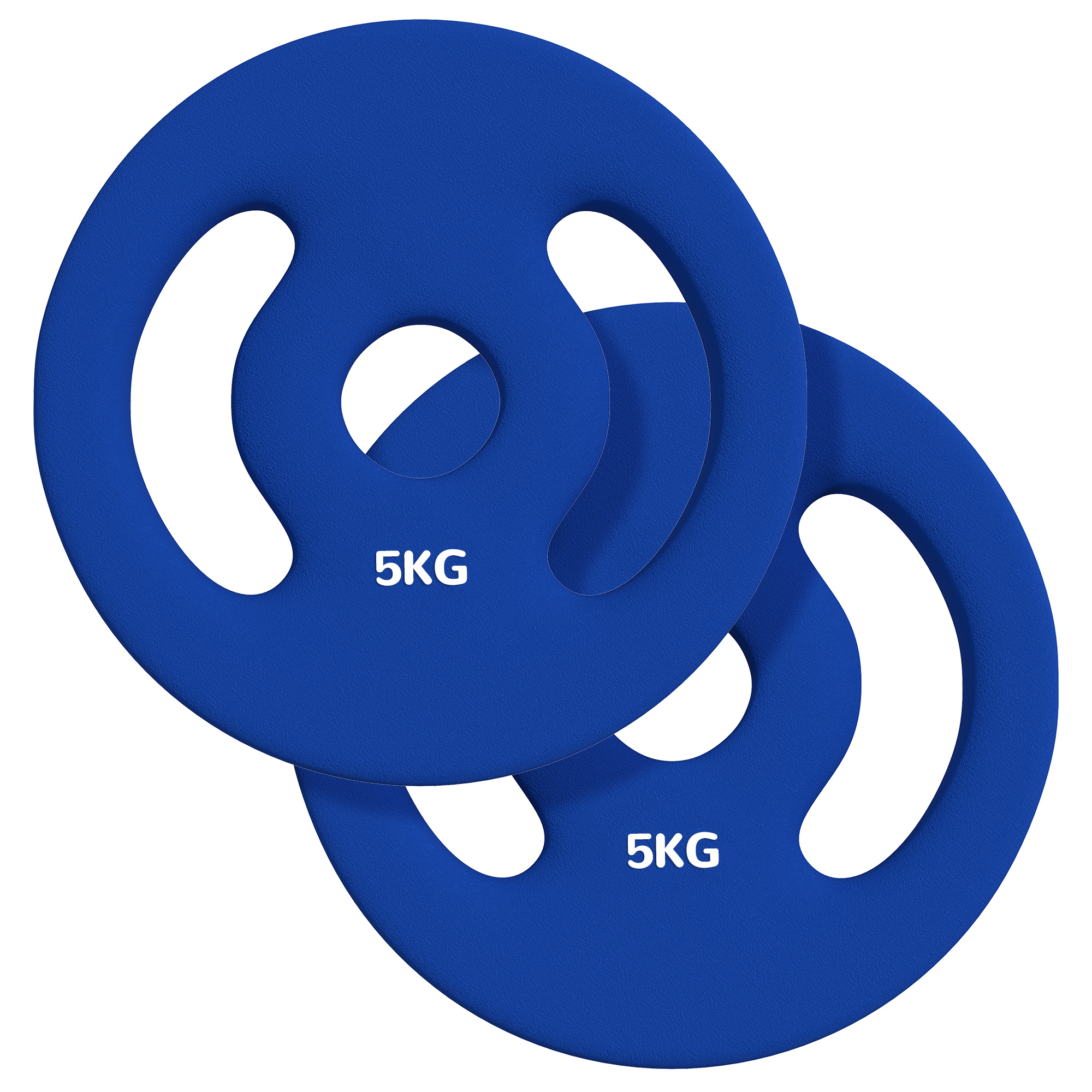 2 x 5 kg svara diski ar praktiskiem rokturiem, svaru komplekts mājas sporta zālei, fitnesa studijai, spēka treniņiem, zils