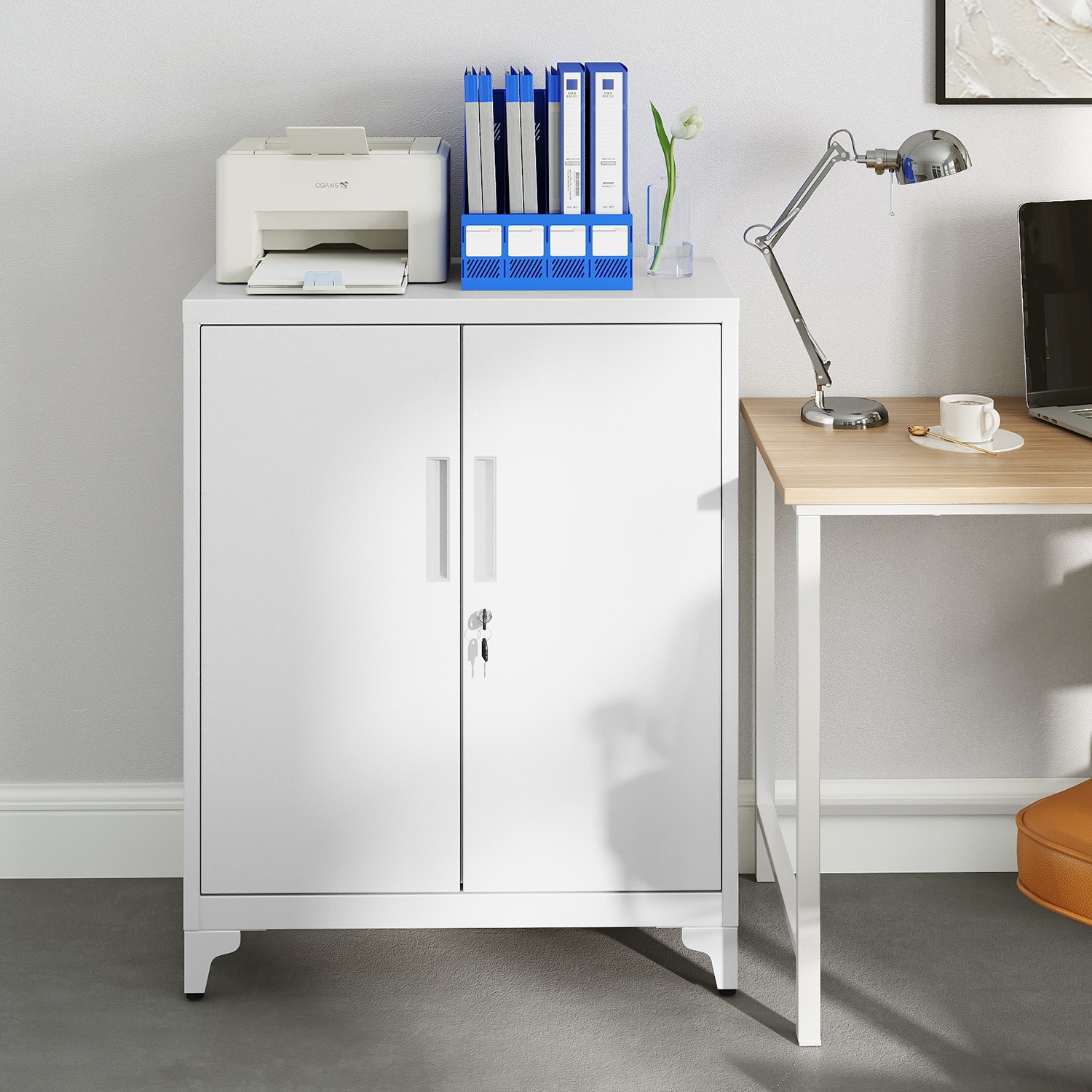 File cabinet, multi-purpose cabinet, office cabinet with two doors