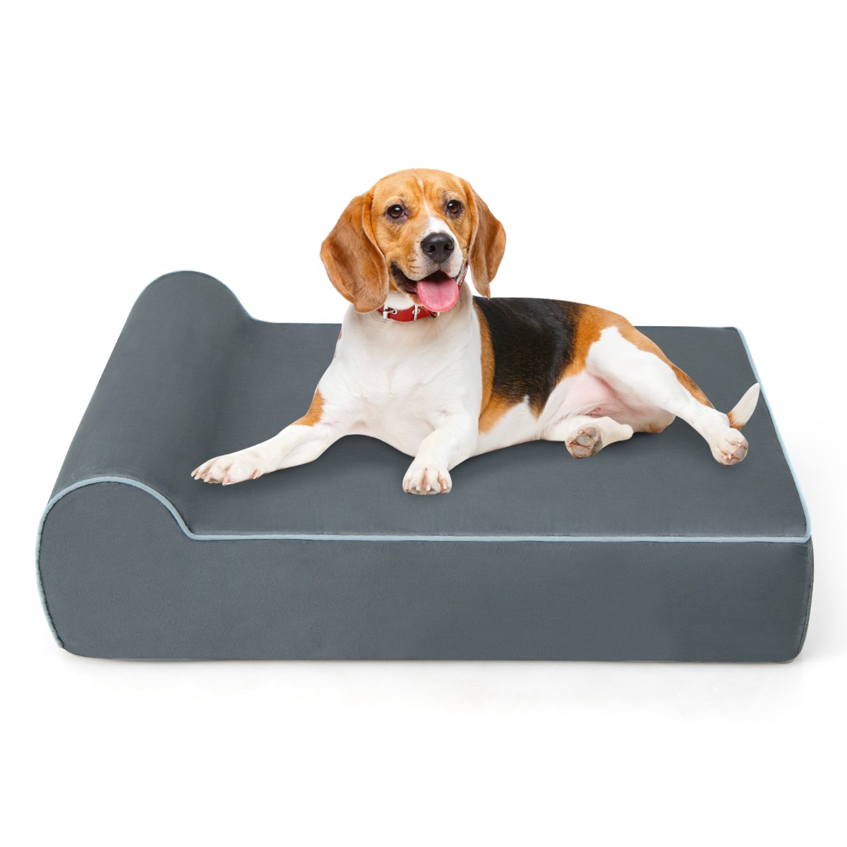 Ortopeediline mäluvahuga (Memory Foam) suur lemmiklooma voodi pehme peatoega mugav ja pestav koeradiivan hall