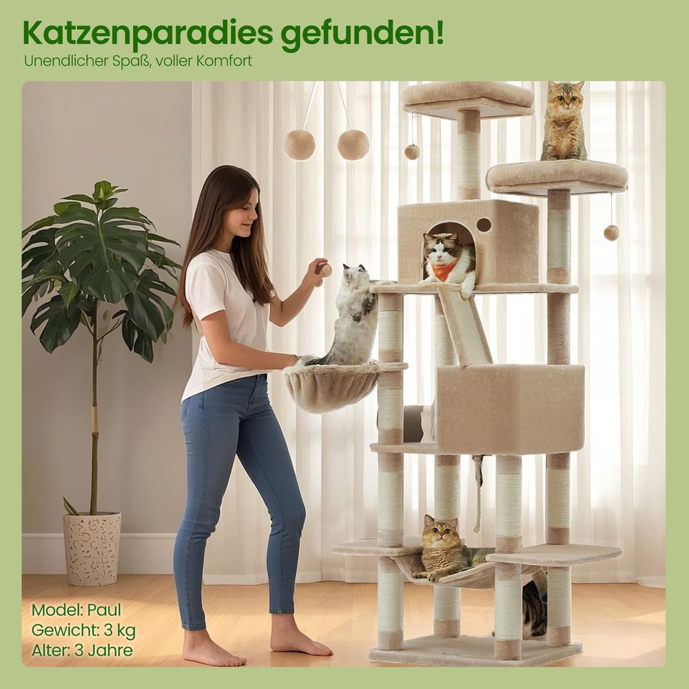 Kaķu koks, 206 cm augsts, ar 13 skrāpējumiem