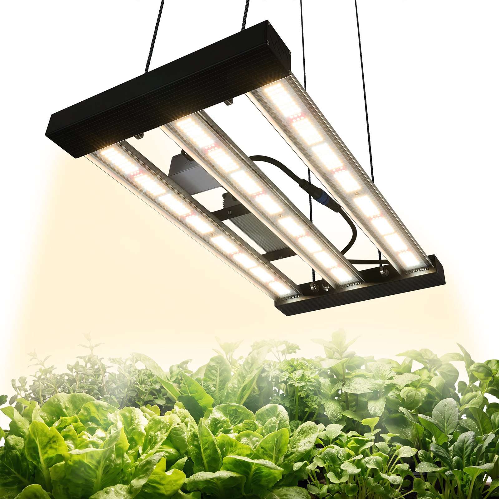 Aptumšojama pilna spektra LED augu lampa, 200 W, 400–740 nm, alumīnija sakausējums un secīgs savienojums, regulējams spilgtums, stādiem, dārzeņiem un ziedēšanai 60 × 60 cm audzēšanas teltī
